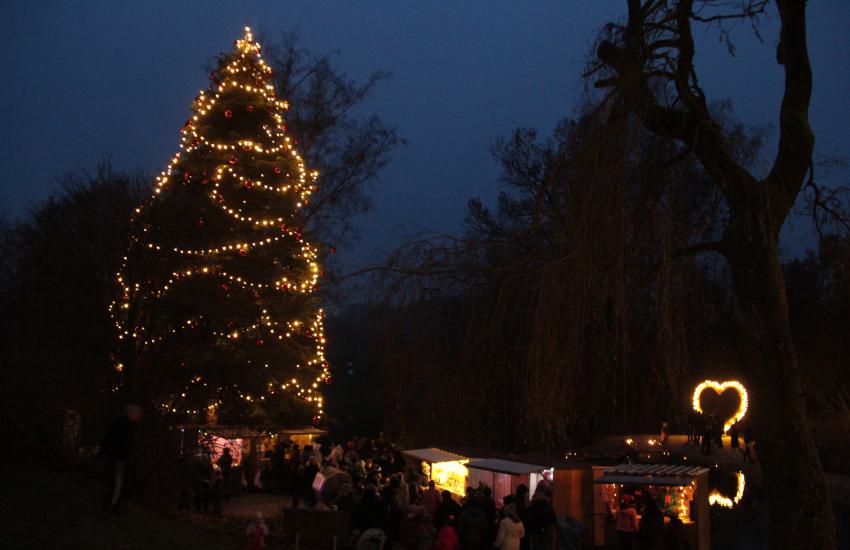 Wehnachtsbaum mit See